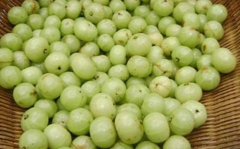 油甘果健康益处