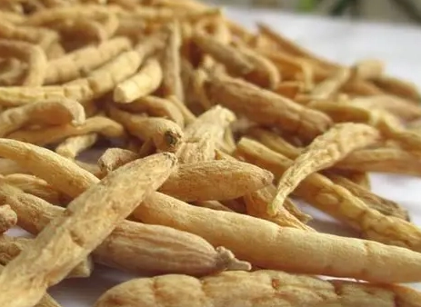 太子參怎麼泡 太子參怎麼泡