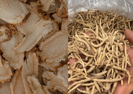 太子參怎麼泡 太子參怎麼泡