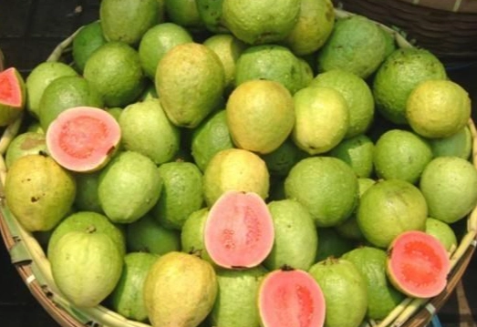 番石榴搭配禁忌