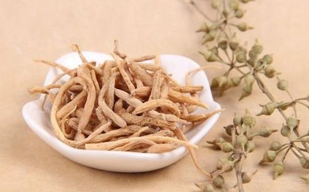 太子參禁忌人群 太子參禁忌人群