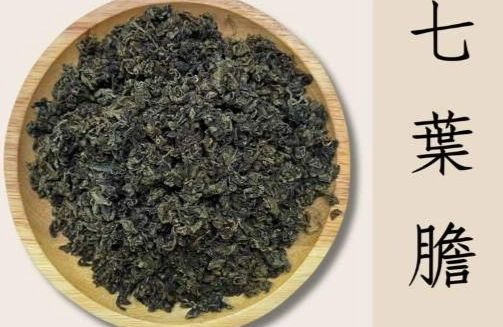 七葉膽功效 七葉膽功效