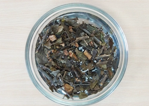 桑寄生茶功效 桑寄生茶功效