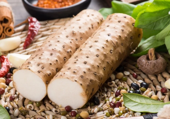 山藥消化問題 山藥消化問題