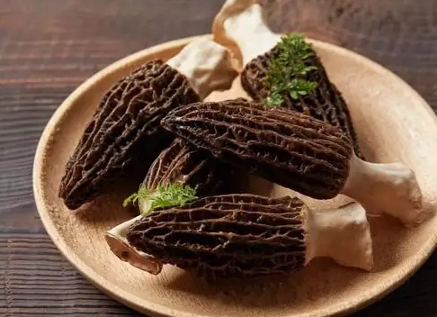 羊肚菌點清潔步驟 羊肚菌點清潔步驟