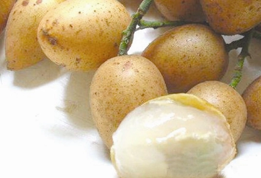 黃皮果食用方法 黃皮果食用方法