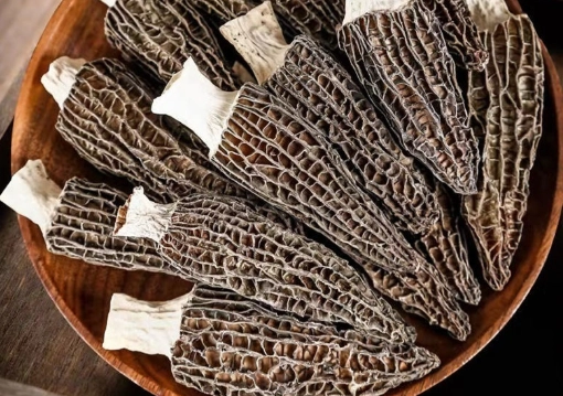 如何清潔羊肚菌 如何清潔羊肚菌