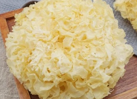 雪耳中醫食療 雪耳中醫食療