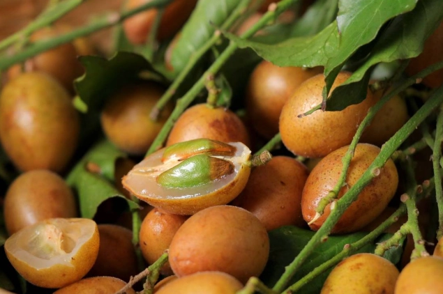 浸黃皮做法 浸黃皮做法