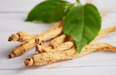 太子參怎麼泡 太子參怎麼泡