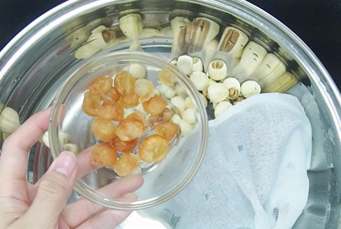 桑寄生茶功效 桑寄生茶功效