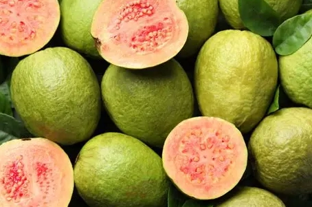 番石榴營養價值 番石榴營養價值