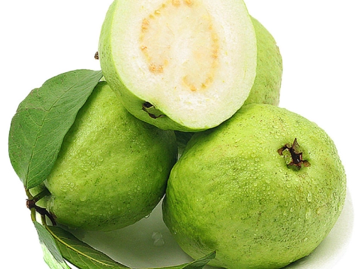 芭樂血糖控制 芭樂血糖控制