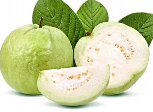 芭樂糖分 芭樂糖分