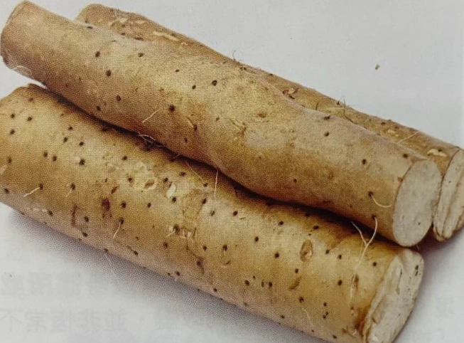 准山腎病治療 准山腎病治療