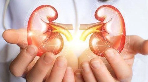 准山腎病治療 准山腎病治療