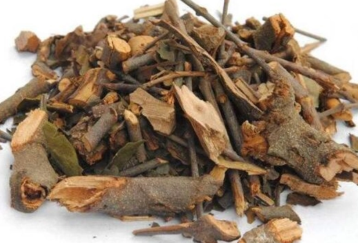 桑寄生茶禁忌 桑寄生茶禁忌