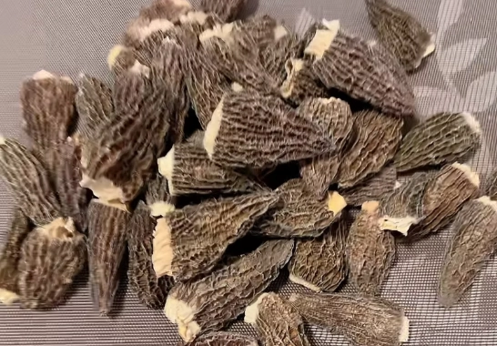 羊肚菌清潔方法 羊肚菌清潔方法