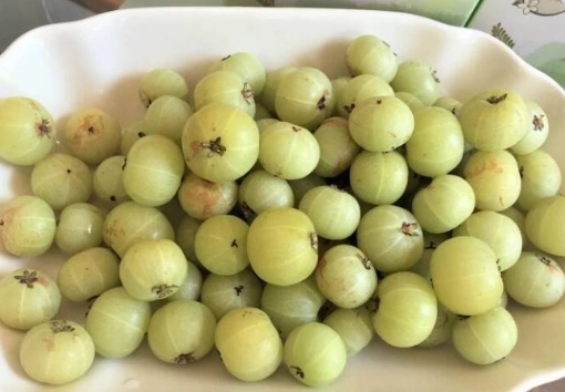 油甘果健康益处