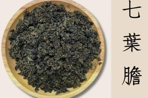 七葉膽副作用