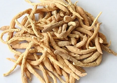 麥冬太子參副作用 麥冬太子參副作用