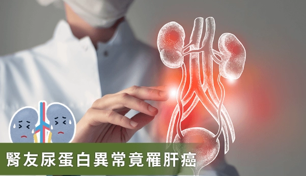 腎病飲食准山 腎病飲食准山