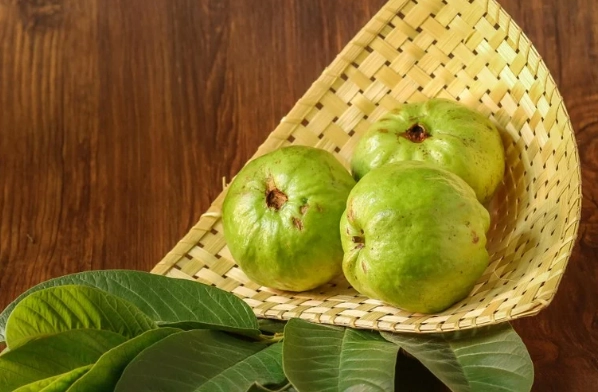 番石榴營養價值 番石榴營養價值