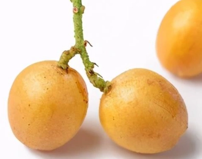 黃果皮使用方法 黃果皮使用方法