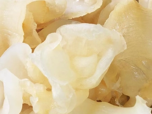 花膠膽固醇 花膠膽固醇