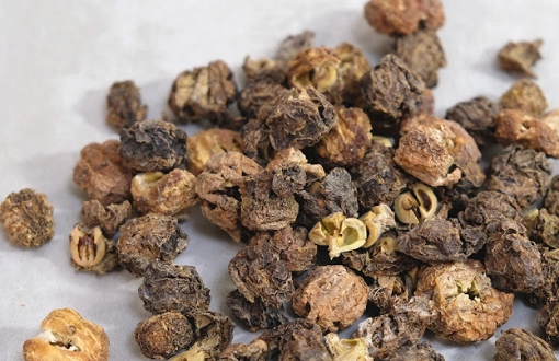 油甘子茶包推薦