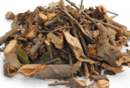 桑寄生茶怎麼泡 桑寄生茶怎麼泡