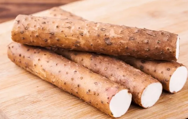 山藥消化問題 山藥消化問題