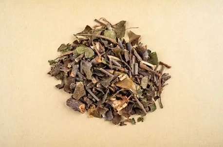 桑寄生茶誰不能喝