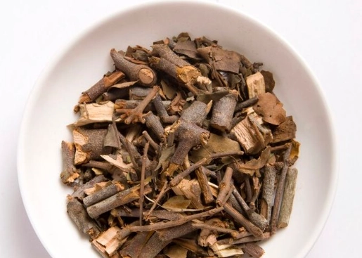 桑寄生茶副作用