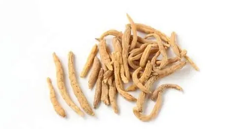 麥冬太子參副作用 麥冬太子參副作用