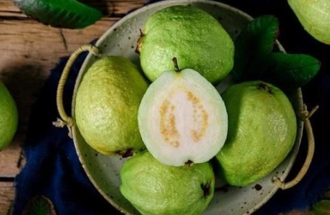 芭樂血糖控制 芭樂血糖控制