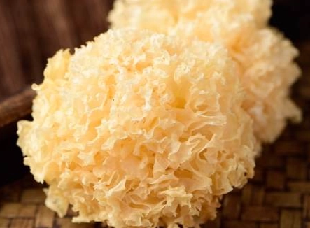 雪耳潤肺功效 雪耳潤肺功效