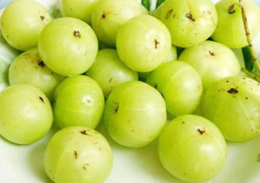 油甘果降血糖 油甘果降血糖