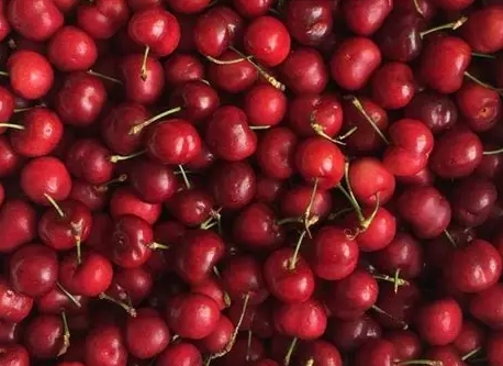 車厘子營養價值 車厘子營養價值