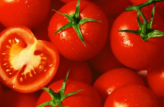 番茄健康食用 番茄健康食用