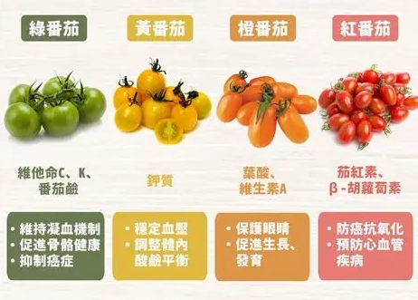 番茄健康益處 番茄健康益處