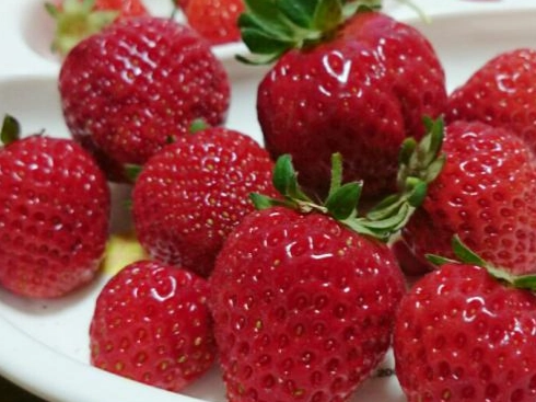 草莓每日攝取量