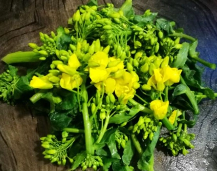 油菜花料理 油菜花料理