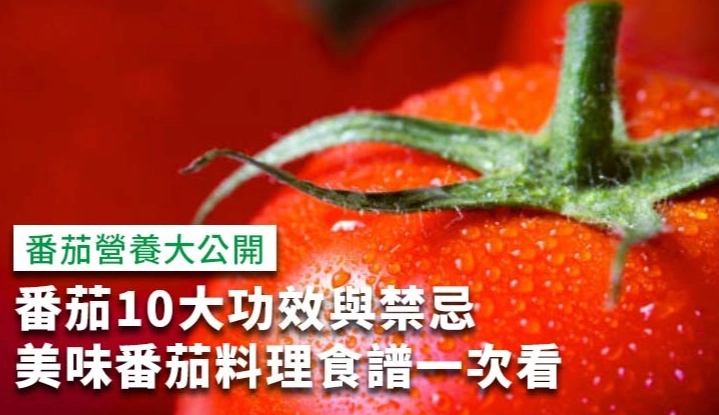 番茄營養價值 番茄營養價值