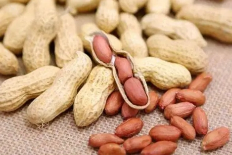 花生營養價值