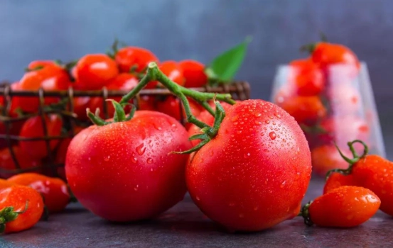 番茄每日建議量 番茄每日建議量