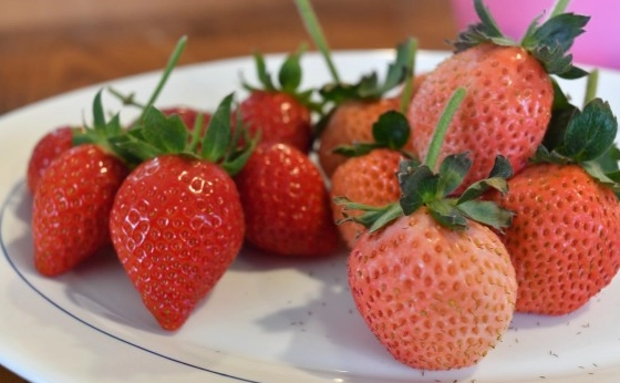 草莓健康吃法