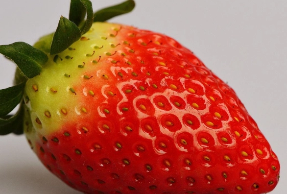 草莓功效