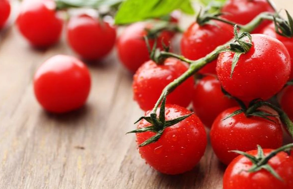番茄營養價值 番茄營養價值