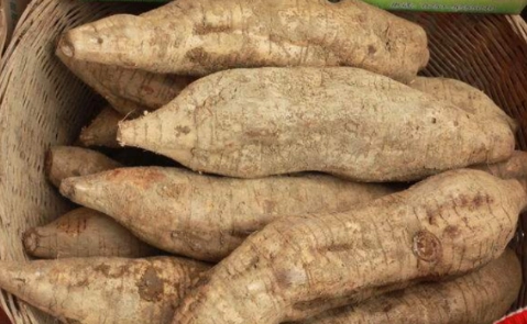 粉葛水製作 粉葛水製作